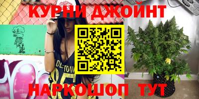 ALPHA PVP Камышлов