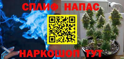 ГАЛЛЮЦИНОГЕННЫЕ ГРИБЫ Канаш