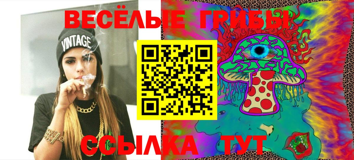 Красноуфимск  Галлюциногенные грибы Psilocybe  Вход с VPN 